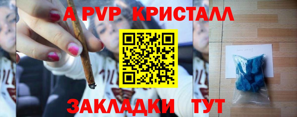 Alfa_PVP СК Белгород