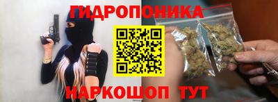 стаф Пенза
